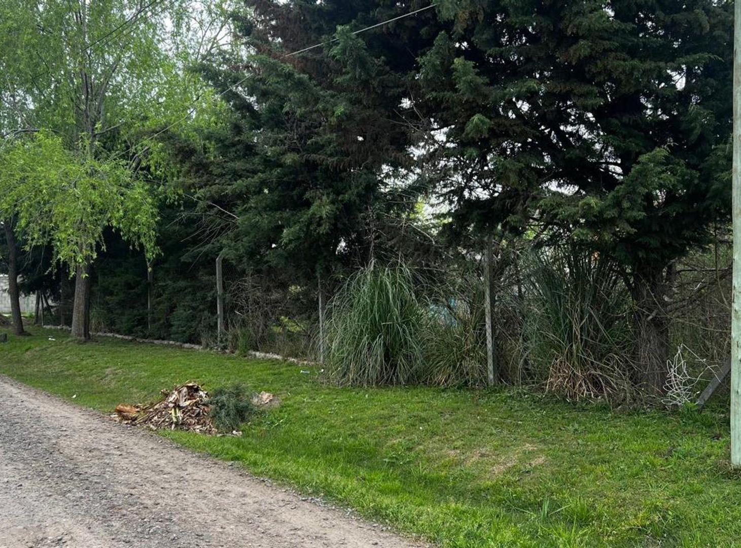 Foto de Venta 3 Lotes, imagen 5