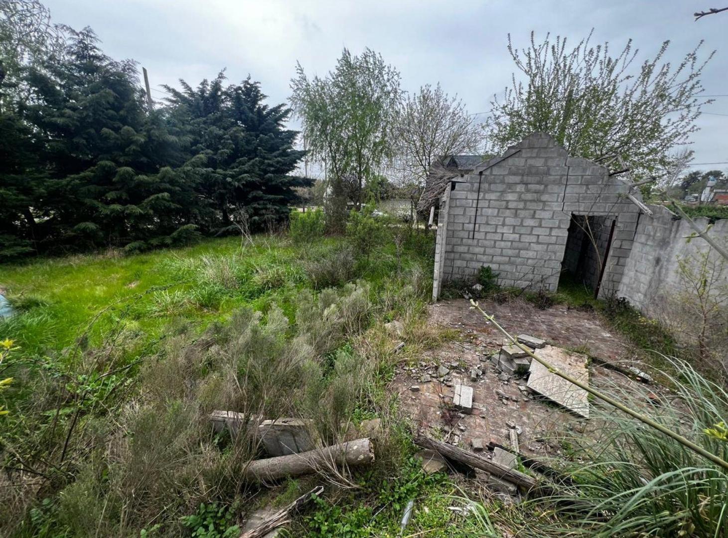 Foto de Venta 3 Lotes, imagen 3