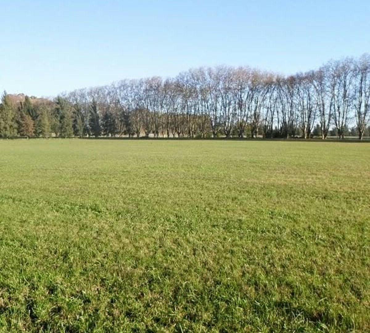 Foto de Excelente Lote de 4.850 m² en Estancia Las Malvinas – Brandsen, imagen 4