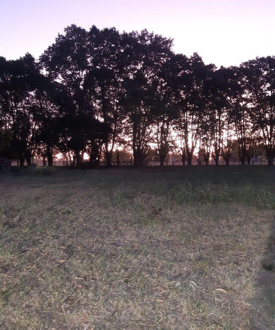 Foto de Excelente Lote de 4.850 m² en Estancia Las Malvinas – Brandsen, imagen 5