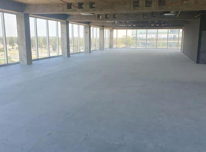 Foto de Oficina en Alquiler Edificio P8 Buenavista, imagen 4