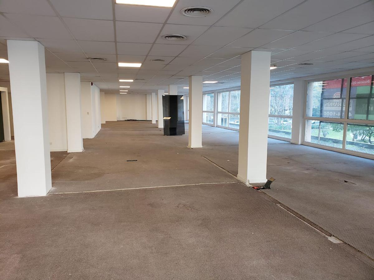 Foto de Oficinas en alquiler Plaza Roma, imagen 4