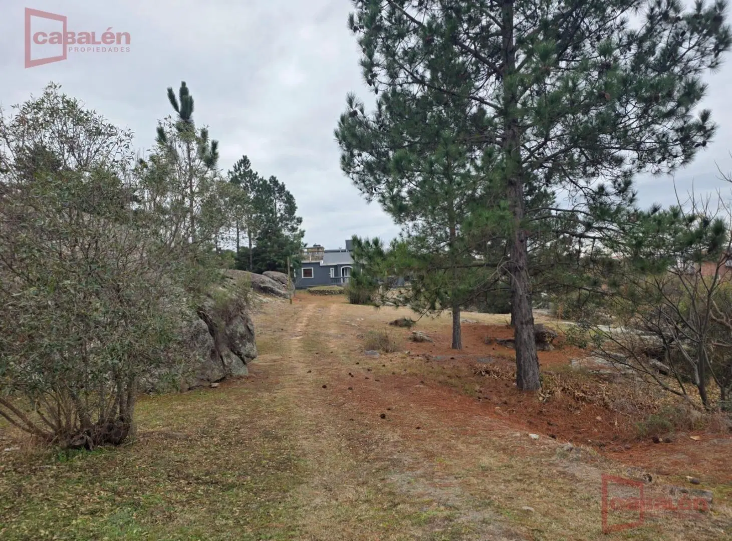 Casa en Venta, 4 Dormitorios, pileta y vista Panorámica sobre terreno de 4740m2, Villa del Lago 8