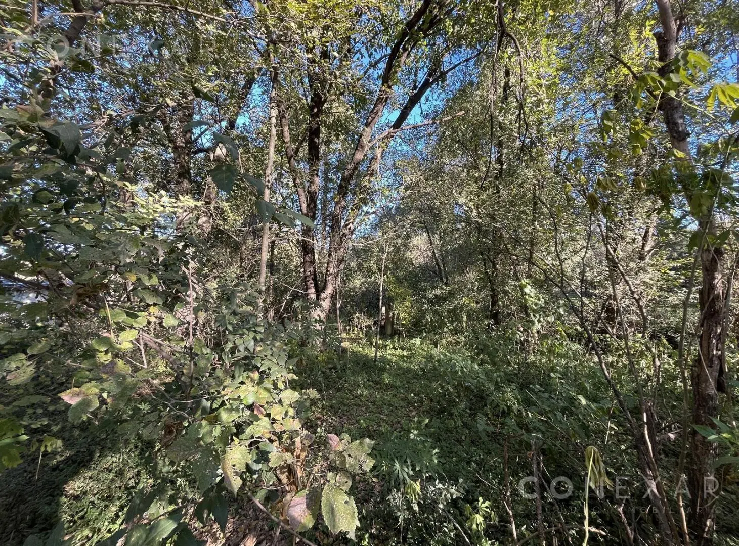 ººº Unico lote con bajada al río, El Descanso, Villa La Bolsa ººº 2