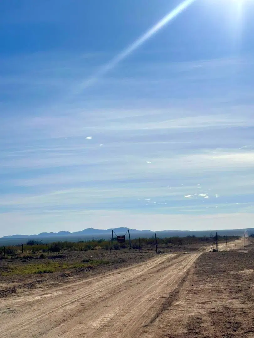 Venta campo 15000 ha departamento Lihuel Calel La Pampa 4