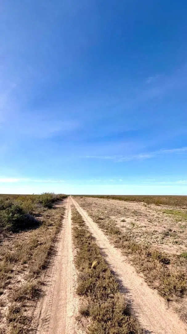 Venta campo 15000 ha departamento Lihuel Calel La Pampa 2