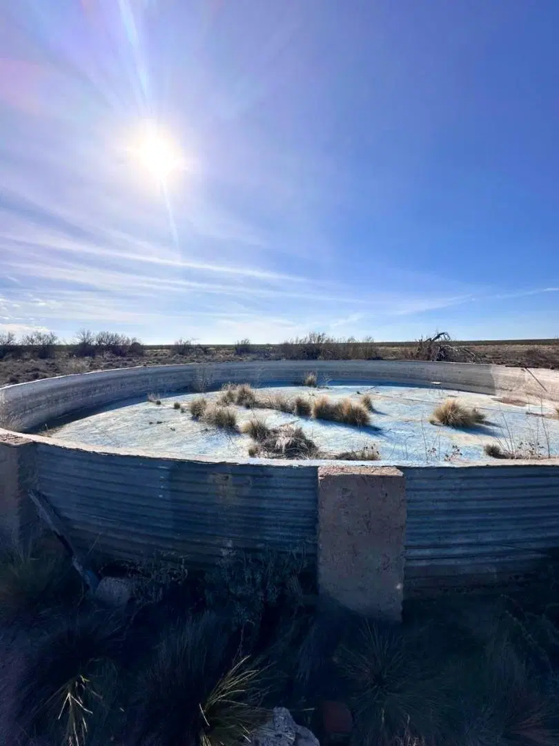 Venta campo 15000 ha departamento Lihuel Calel La Pampa 5