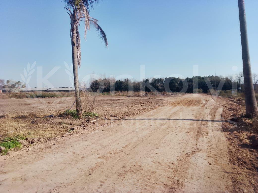Foto de OPORTUNIDAD LOTES ZONA INDUSTRIAL EN PANAMERICANA, imagen 4