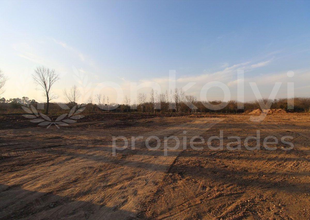 Foto de OPORTUNIDAD VENTA LOTES POLO INDUSTRIAL PANAMERICANA, imagen 5