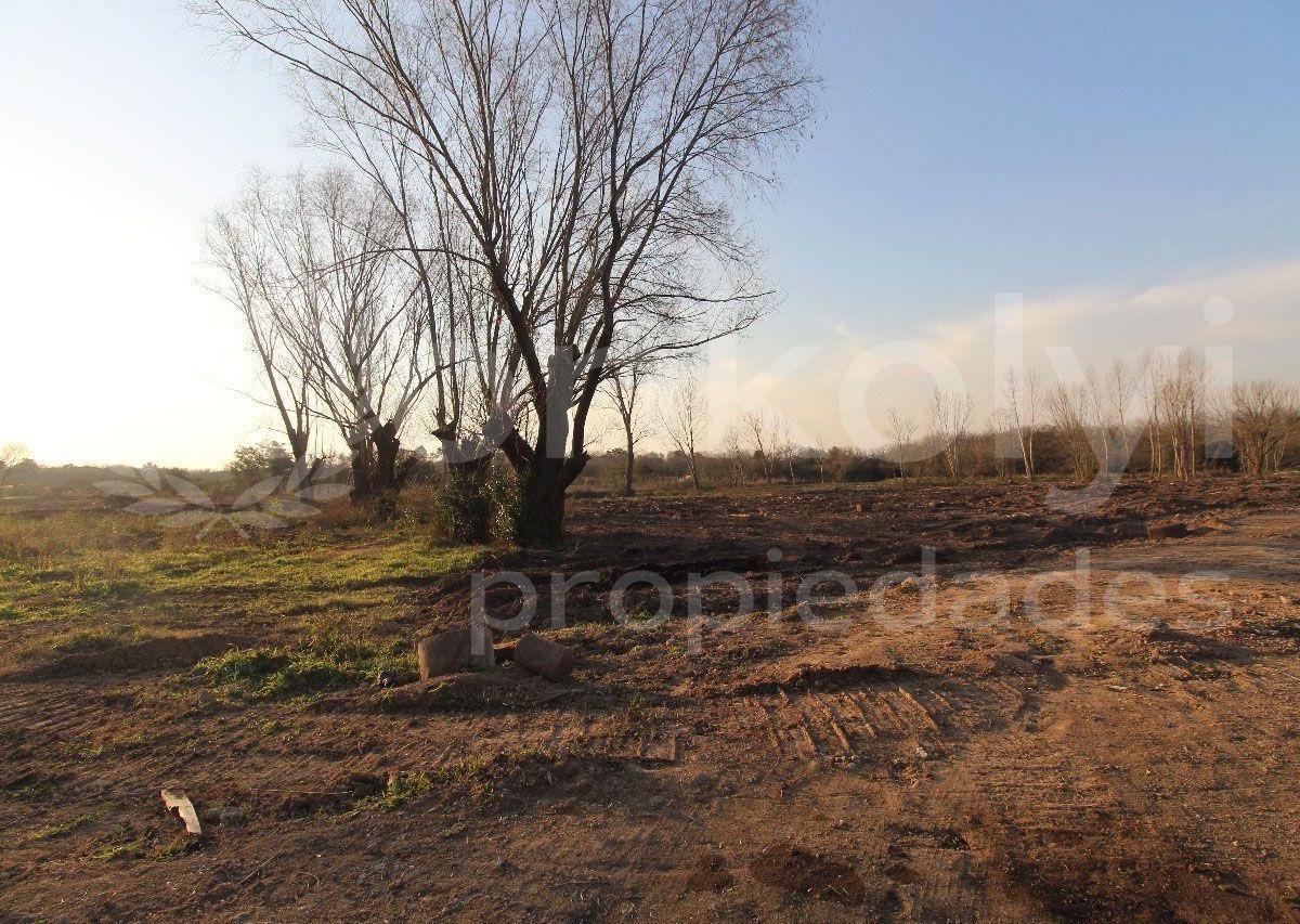 LOTES CON FINANCIACION POLO INDUSTRIAL