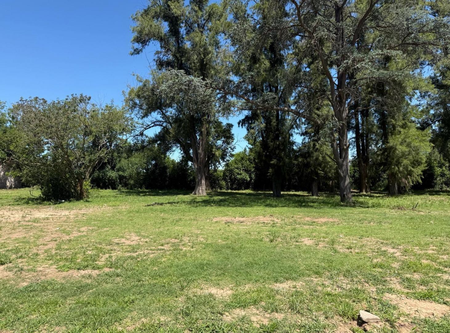 Foto de terreno arbolado en venta en lujan sobre Av. Julio a roca con, imagen 3