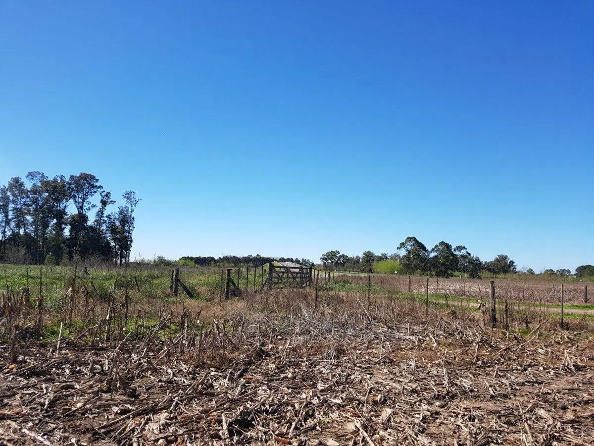 Campo de 22 hectareas a la venta en lujan proximo a acceso oeste 4