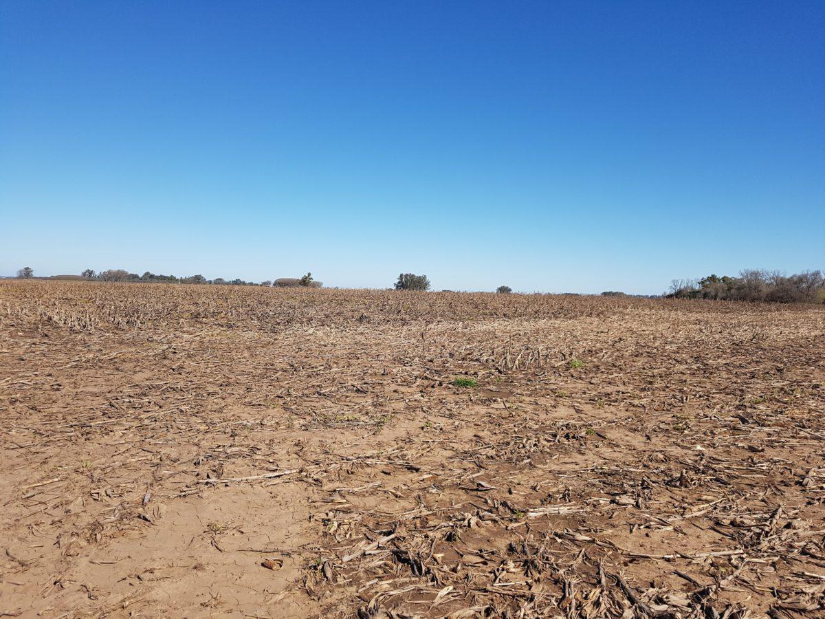 Campo de 22 hectareas a la venta en lujan proximo a acceso oeste