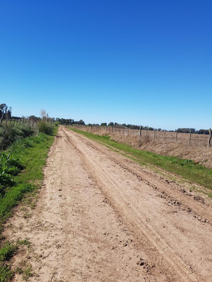 Campo de 22 hectareas a la venta en lujan proximo a acceso oeste
