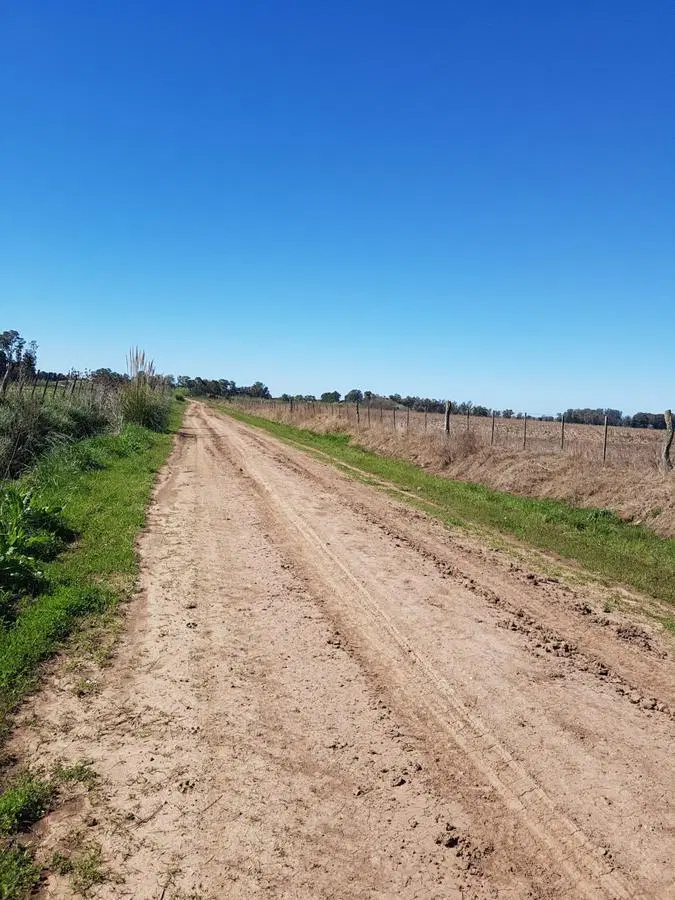 Campo de 22 hectareas a la venta en lujan proximo a acceso oeste 3