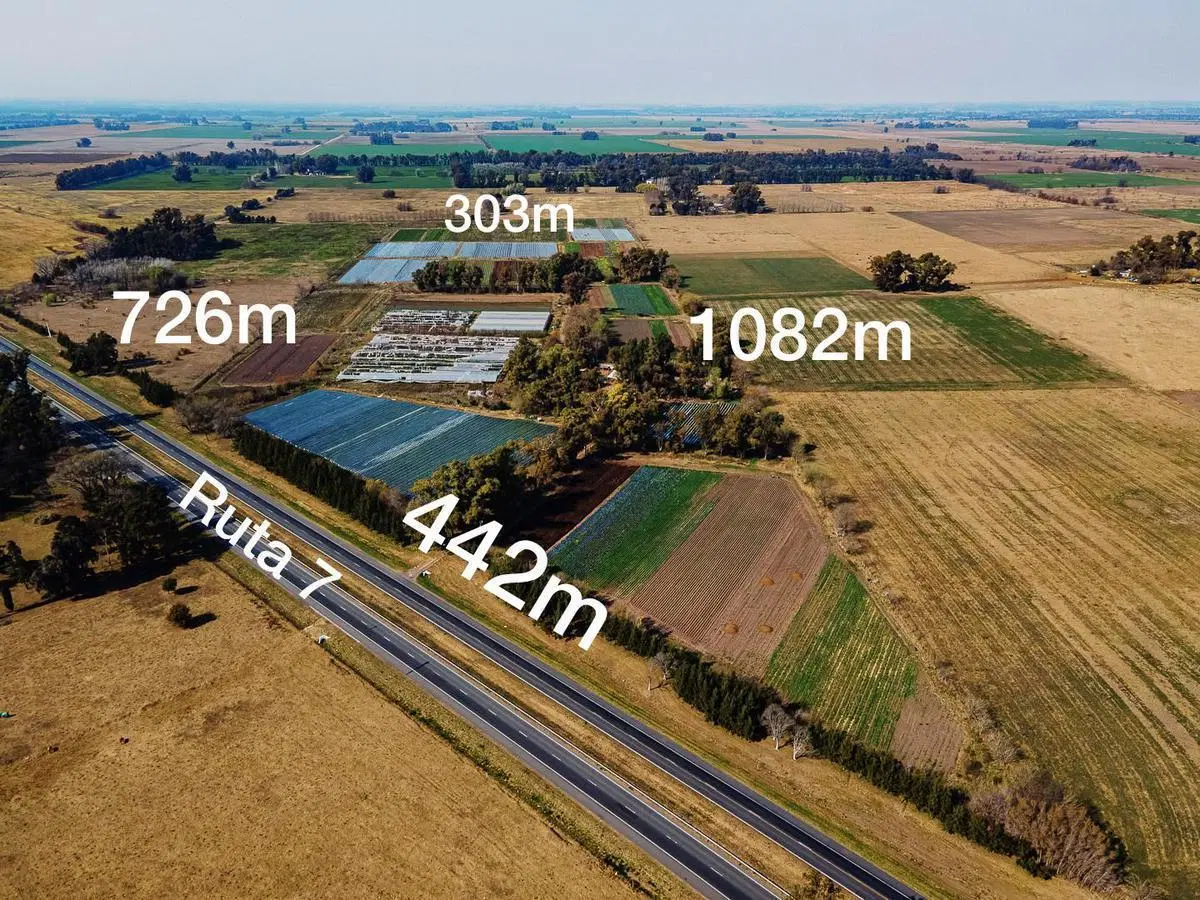 Campo de 27 hectareas a la venta sobre ruta 7 1