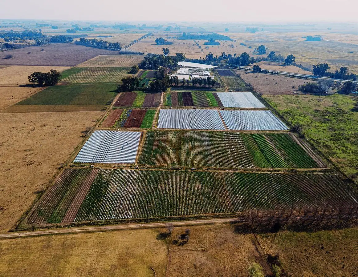 Campo de 27 hectareas a la venta sobre ruta 7 3