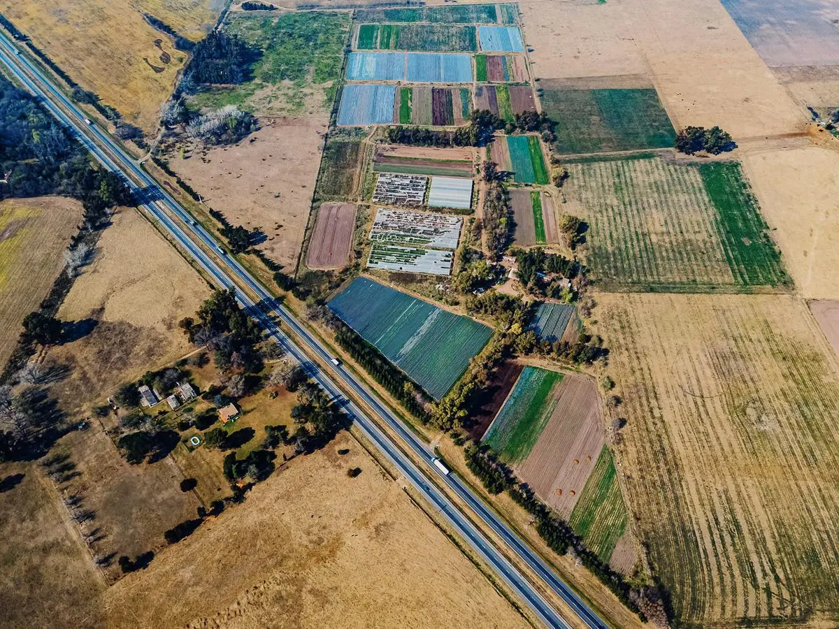 Campo de 27 hectareas a la venta sobre ruta 7 5