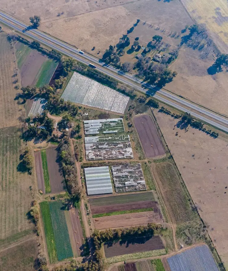 Campo de 27 hectareas a la venta sobre ruta 7 4