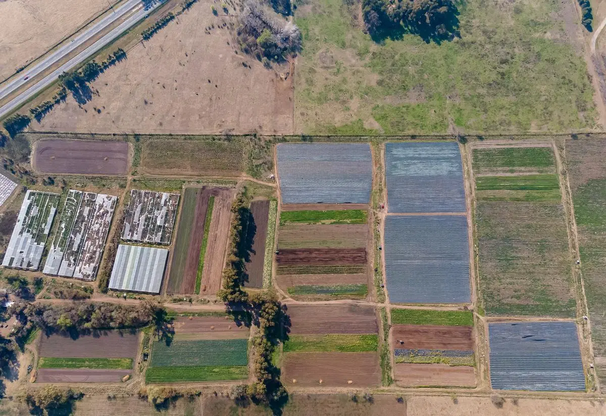 Campo de 27 hectareas a la venta sobre ruta 7 8