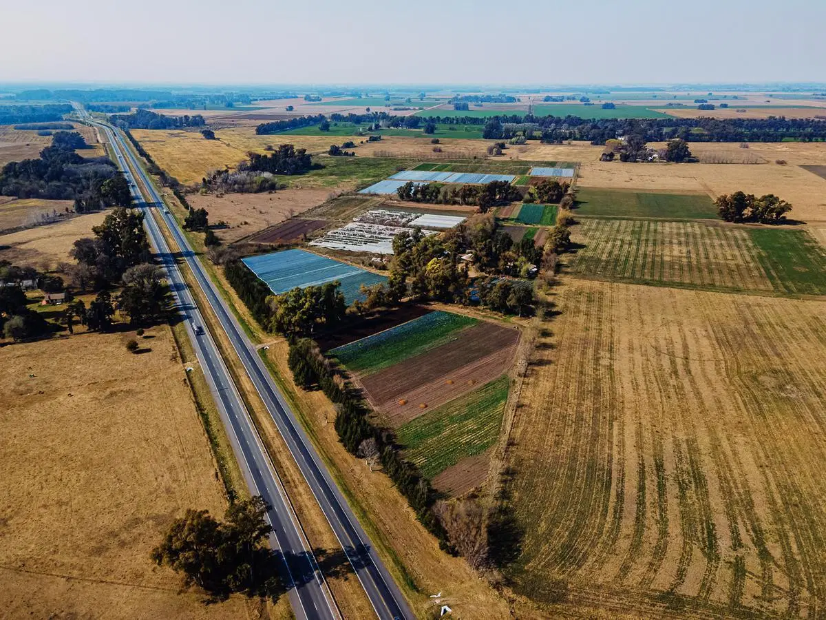 Campo de 27 hectareas a la venta sobre ruta 7 2