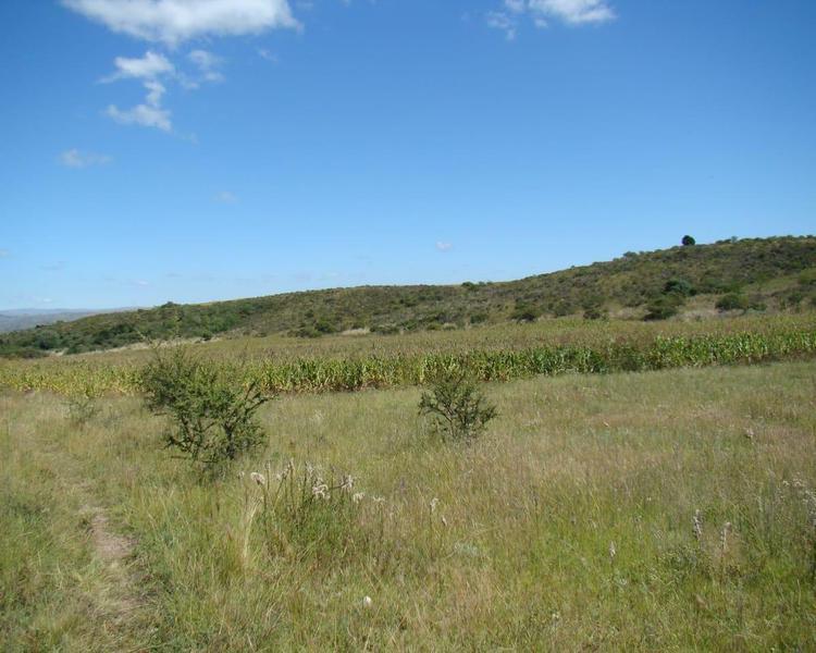 Chacra en Venta, Villa Giardino, Córdoba. 5