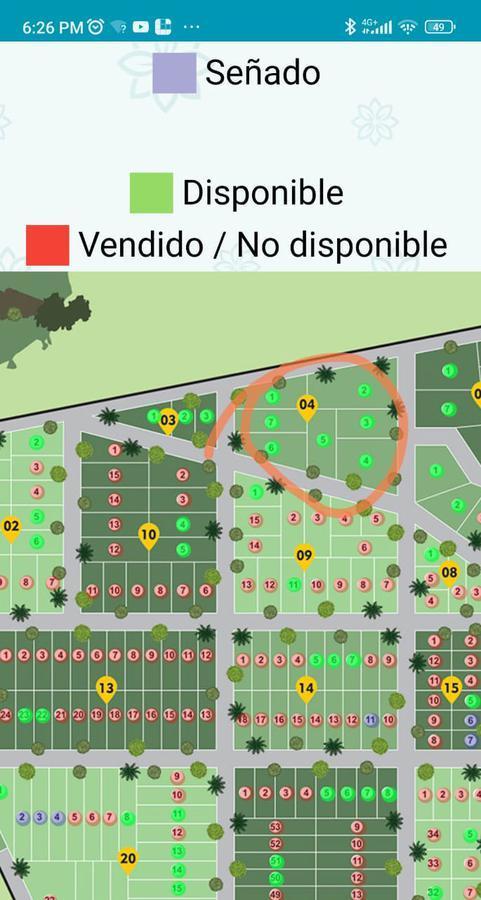Plano 1
