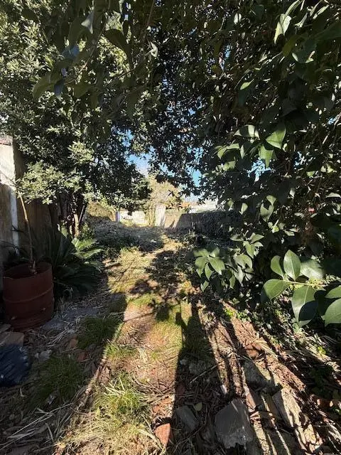 terreno en venta en san miguel 3