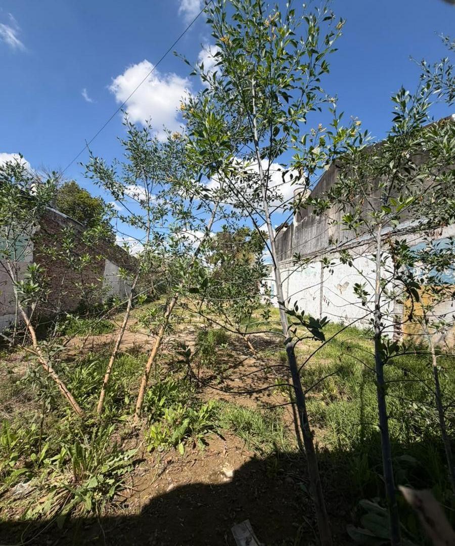 Foto de Terreno en Altos De Benavidez, imagen 4