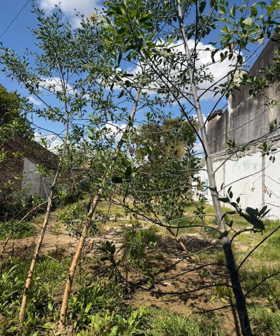 Foto de Terreno en Altos De Benavidez, imagen 3