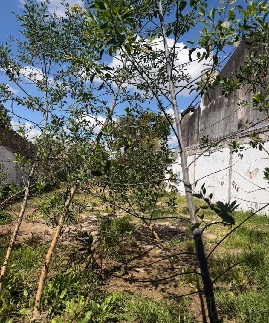 Foto de Terreno en Altos De Benavidez, imagen 5