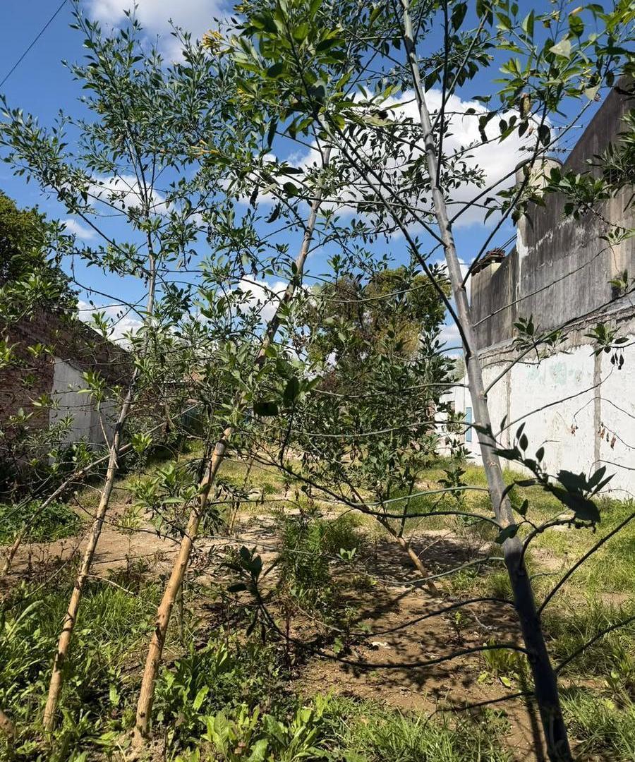Foto de Terreno en Altos De Benavidez, imagen 4