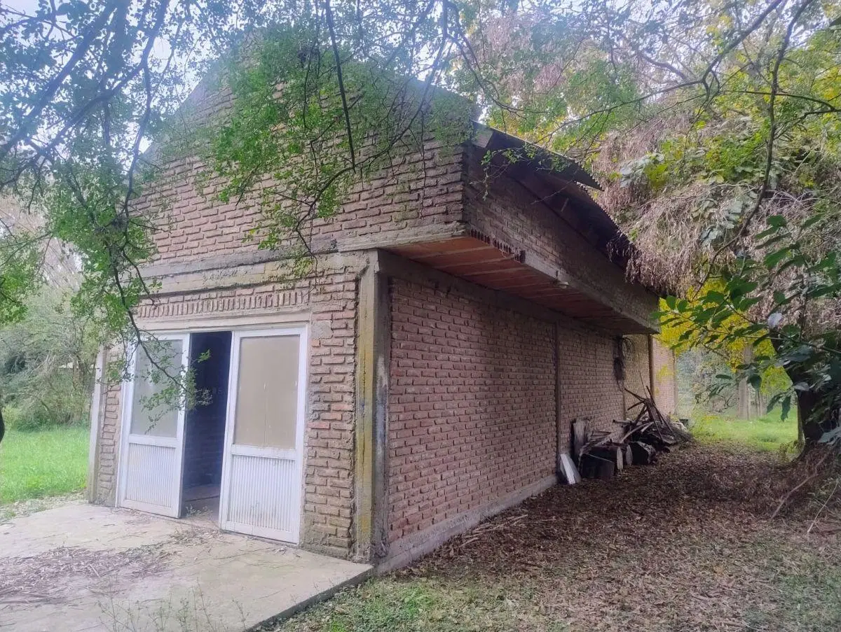 Venta 2 Terrenos (5.392 m²) con Casa y Galpones | Abasto 5