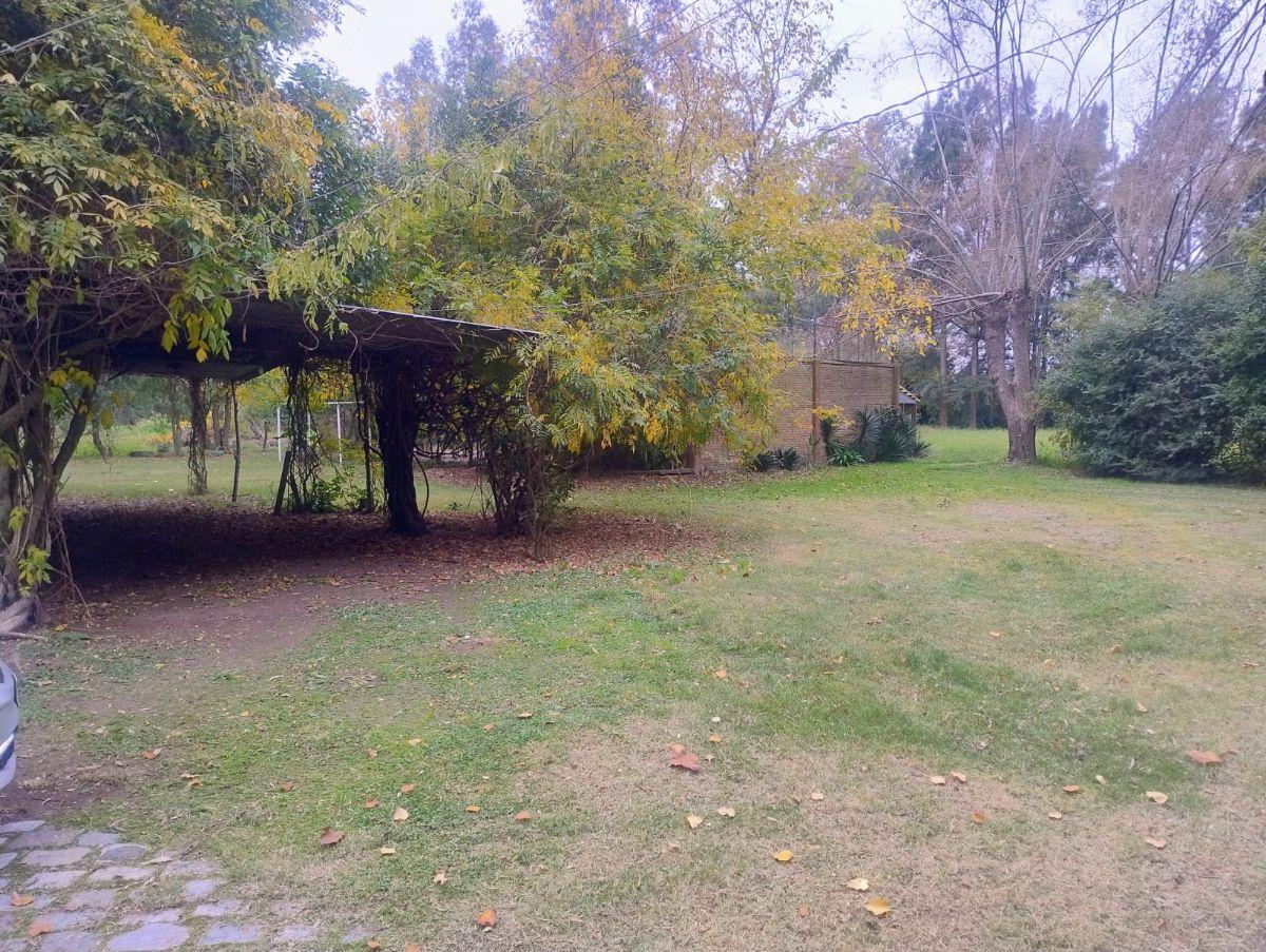 Venta 2 Terrenos (5.392 m²) con Casa y Galpones | Abasto
