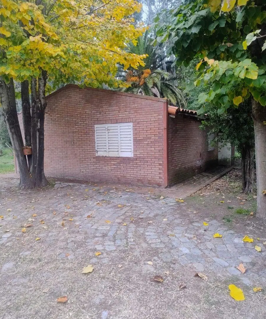 Venta 2 Terrenos (5.392 m²) con Casa y Galpones | Abasto 2