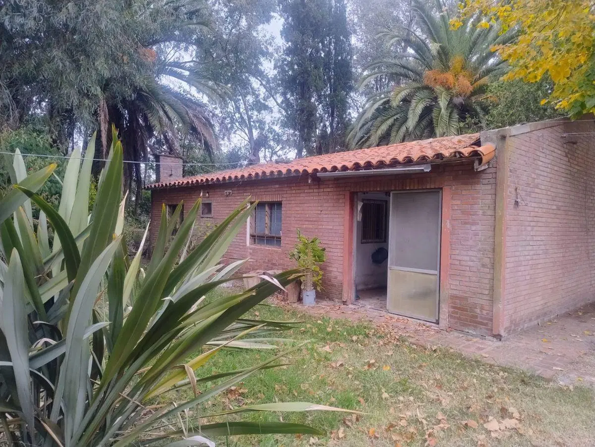 Venta 2 Terrenos (5.392 m²) con Casa y Galpones | Abasto 3