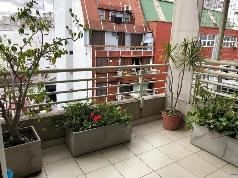 Departamento - Botanico 8