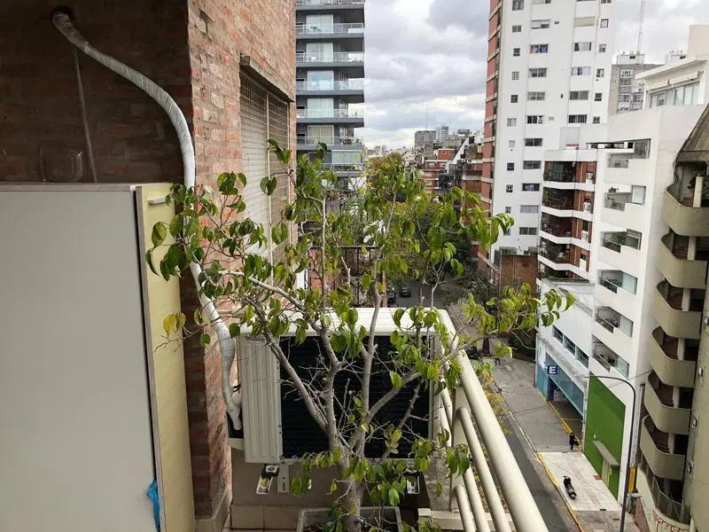 Departamento - Botanico 5
