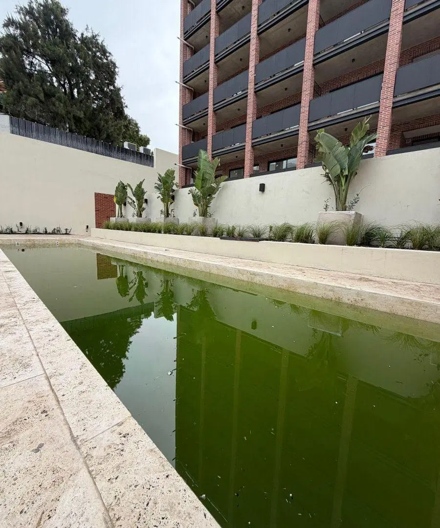 Alquiler amplio monoambiente frente balcón amenities 3