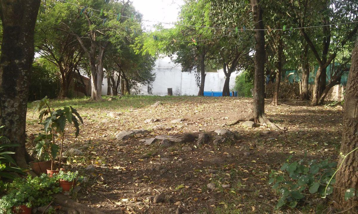 Imagen de la propiedad