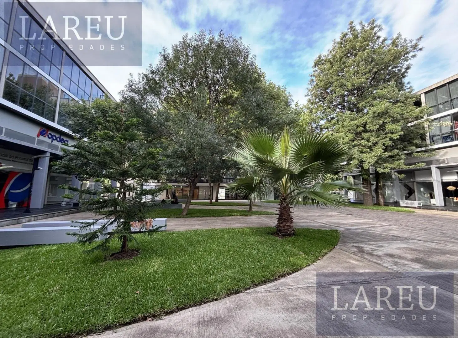 Local - AGORA III - 46 PLAZA 2