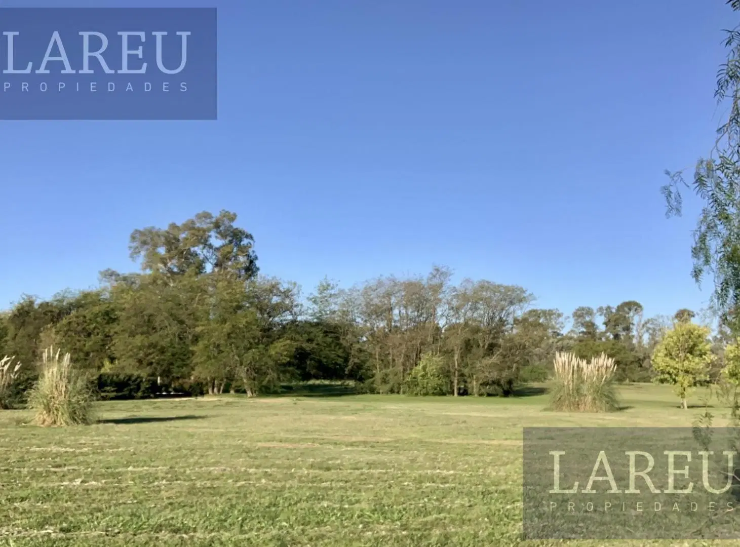 Lote Medal Country Club 5