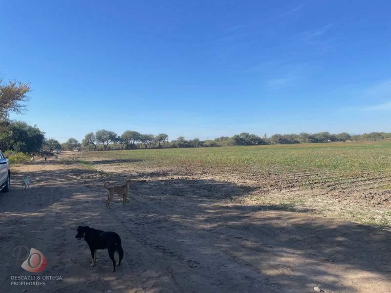 CRUZ DEL EJE- CAMPO EN VENTA- EN ZONA DE PALO PARADO-