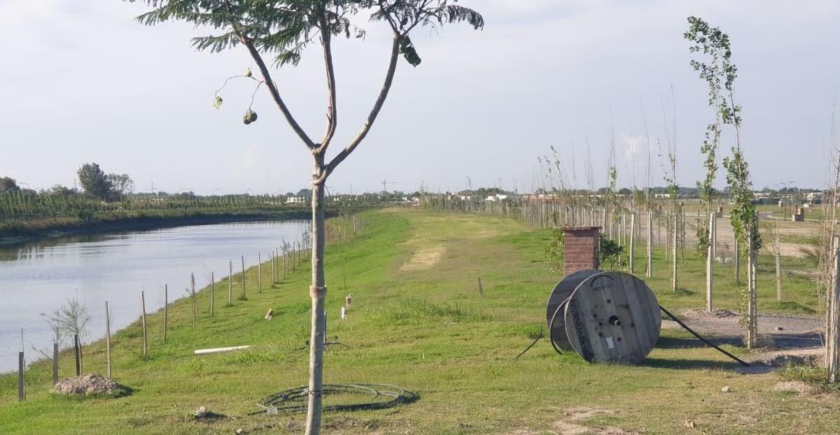 Terreno Lote en Venta en Carpinchos, Nordelta, Tigre