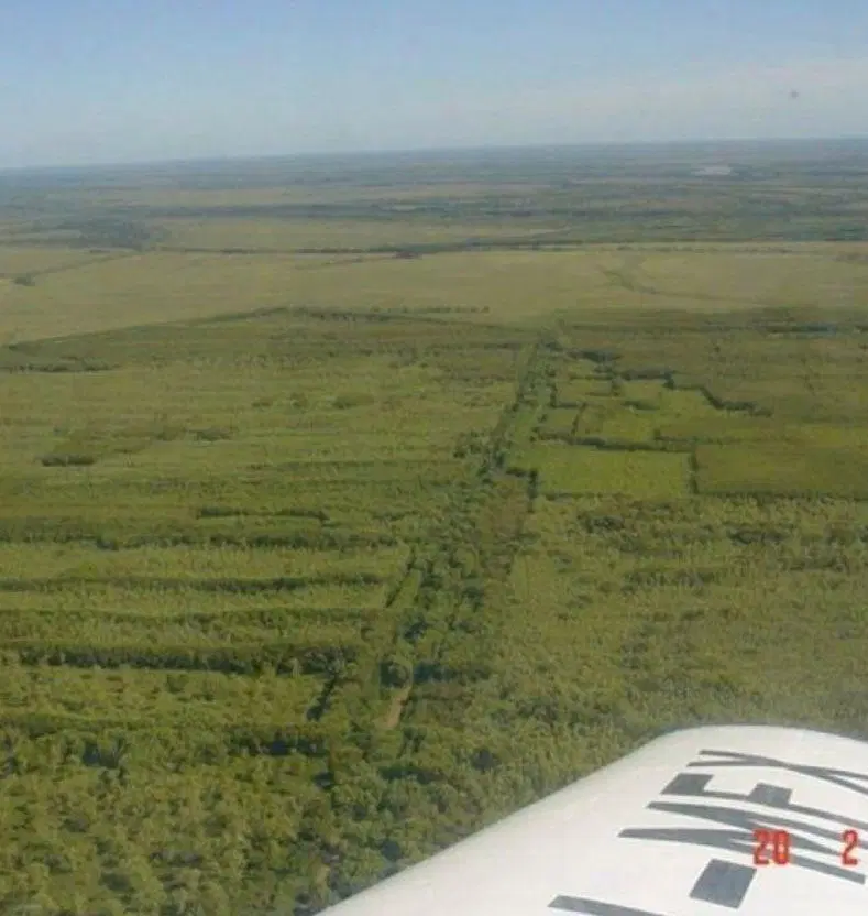 Terreno Lote  en Venta en Islas del Ibicuy, Entre Ríos, Argentina 2