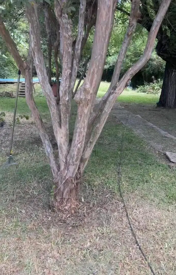 Terreno en venta en Tigre 8