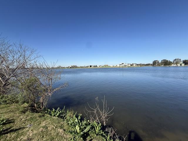 Foto de Terreno en venta en la Isla Nordelta, imagen 2