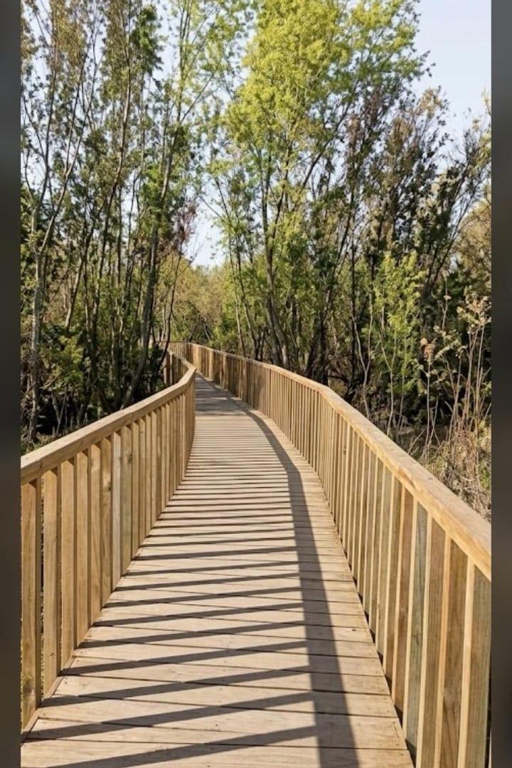Foto de Terreno en venta en Puertos del lago Nativas, imagen 4