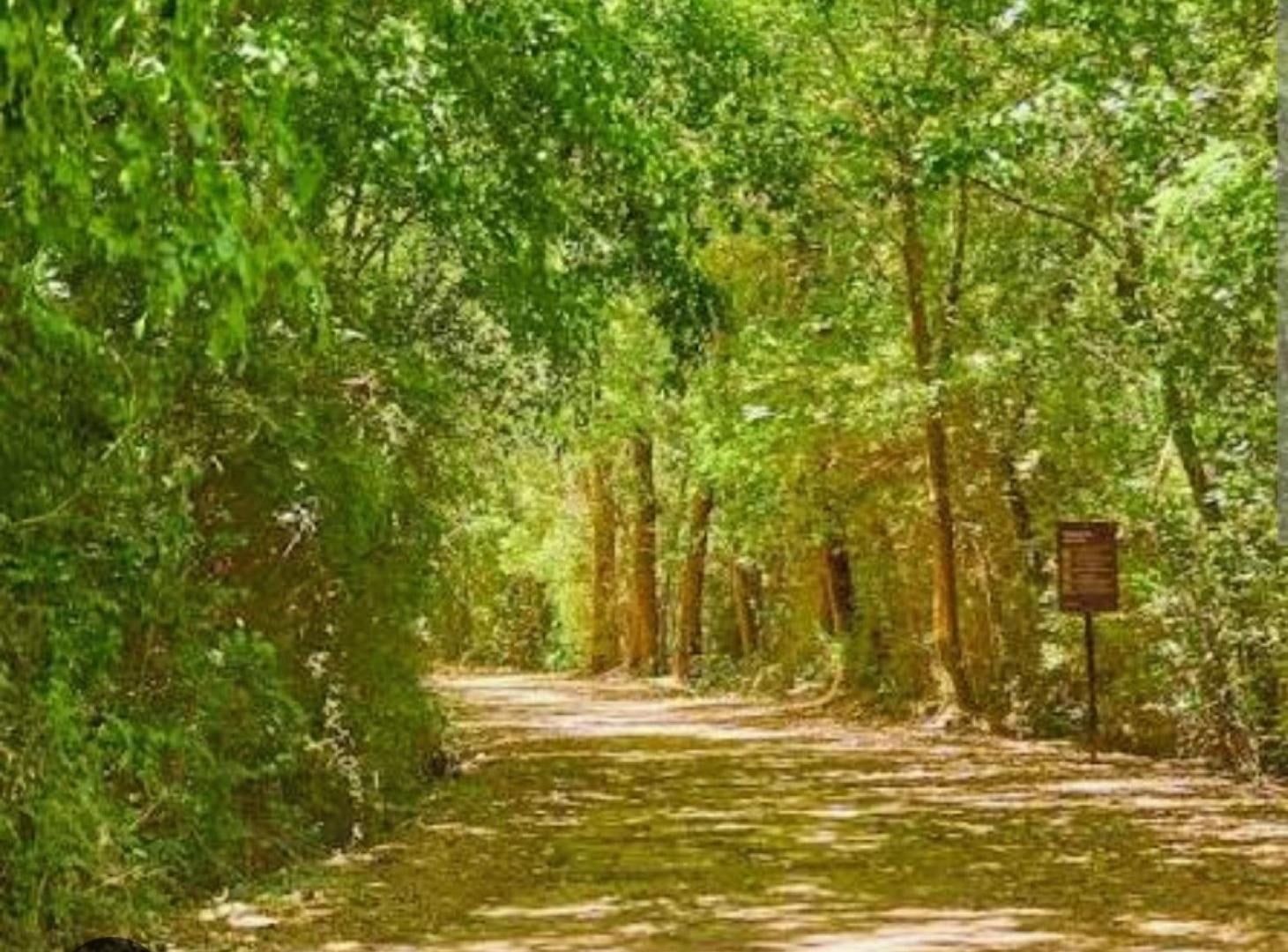 Foto de Terreno en venta en Puertos del lago Nativas, imagen 2