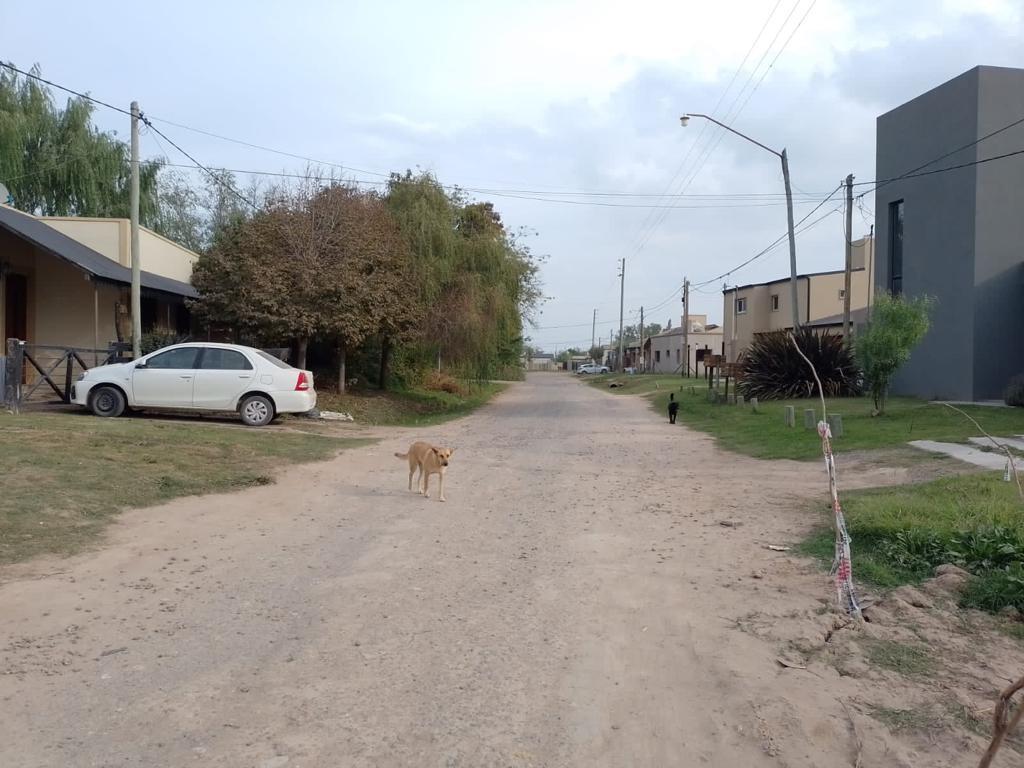 Lote en venta de 335m2